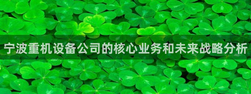 顺盈娱乐福彩：宁波重机设备公司的核心业务和未来战略分析