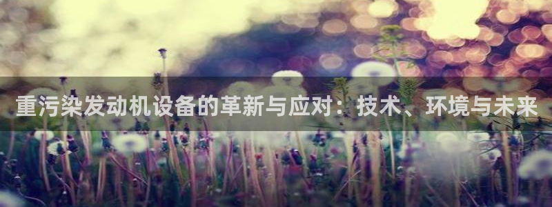 顺盈娱乐最高代理是谁啊