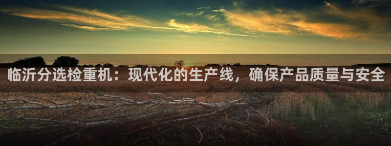 顺盈娱乐2：临沂分选检重机：现代化的生产线，确保产品质量与安