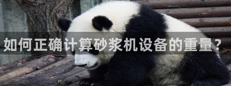 盈顺休闲娱乐室怎么样