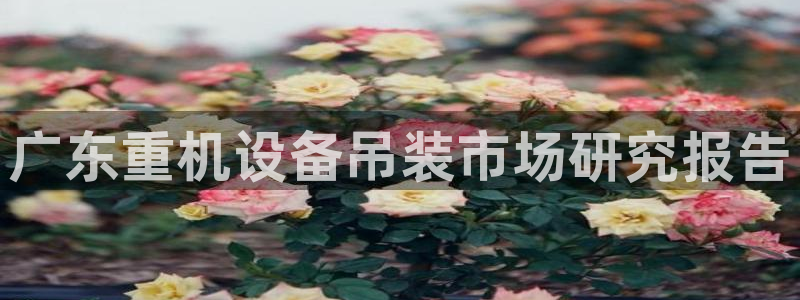 顺盈娱乐棋牌：广东重机设备吊装市场研究报告