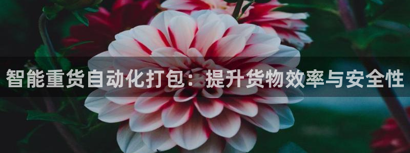 顺盈娱乐是什么福彩：智能重货自动化打包：提升货物效率与安全性