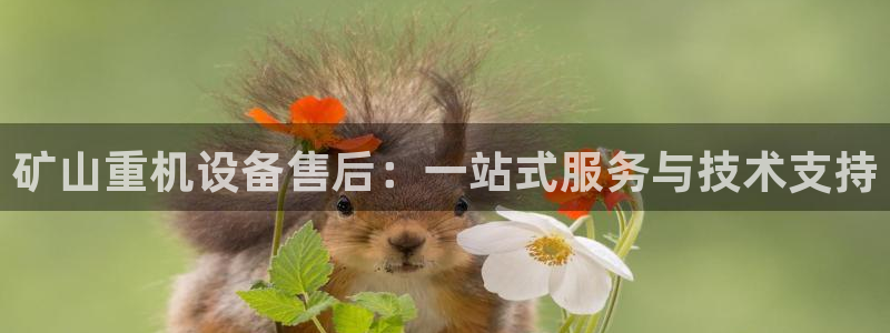 顺盈娱乐招商助判官333OO