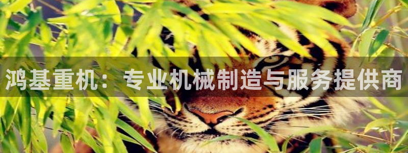 顺盈娱乐下载安装：鸿基重机：专业机械制造与服务提供商