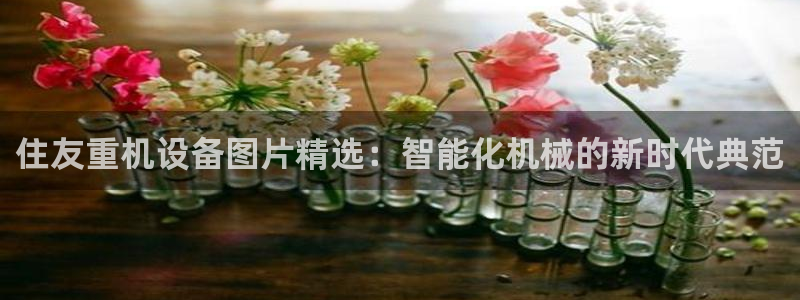 盈顺休闲娱乐室怎么样