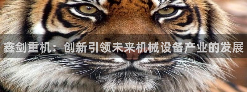 顺盈娱乐主管怎么样知乎