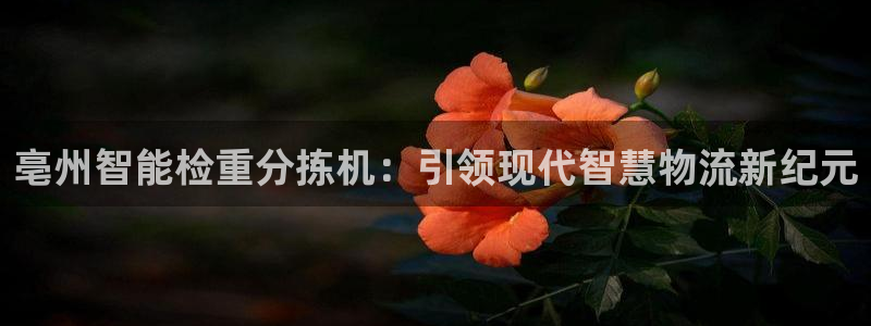 盈顺棋牌娱乐室地址电话