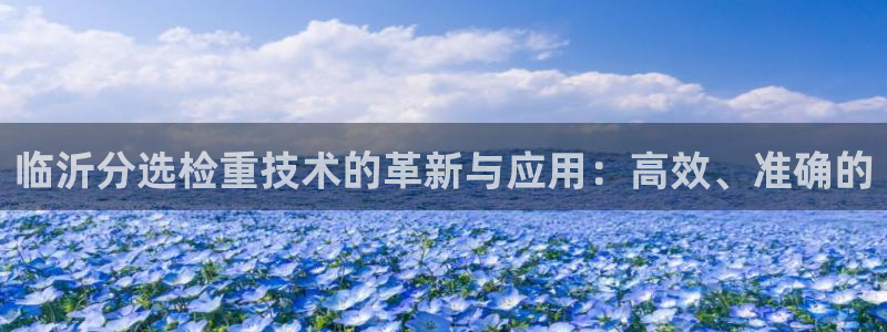顺盈娱乐最高代理人是谁