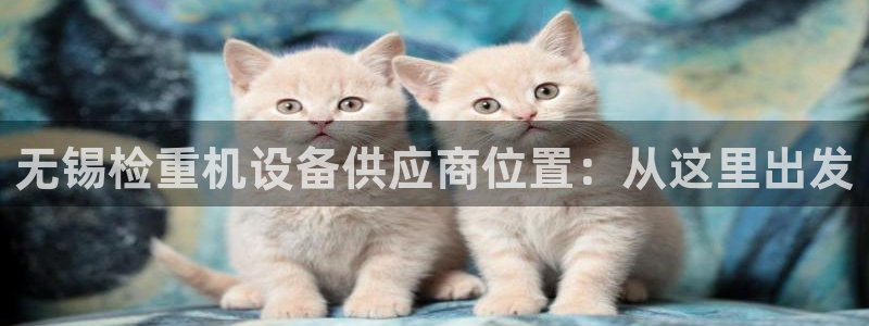 顺盈娱乐382223