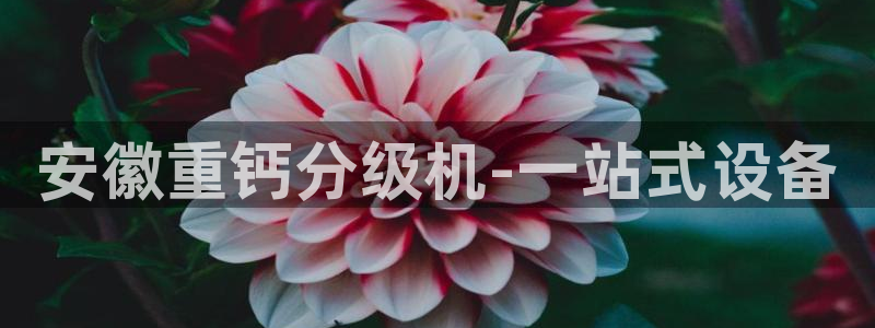 顺盈娱乐总代：安徽重钙分级机-一站式设备