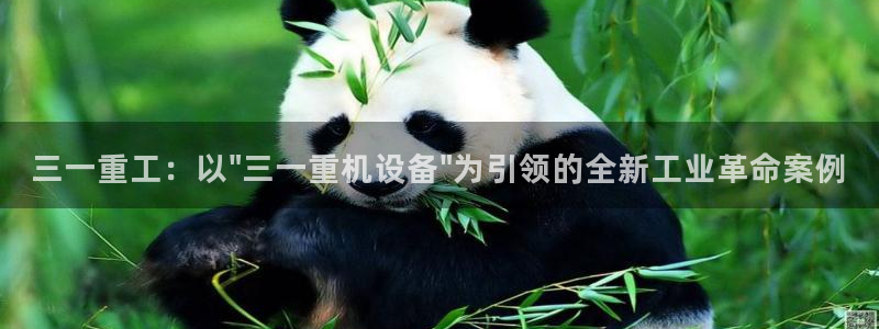顺盈娱乐招商前原判官333OO