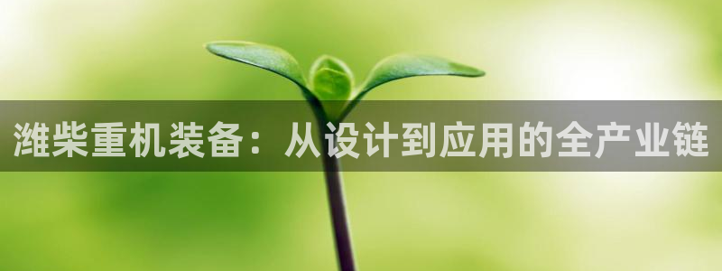 顺盈娱乐下载安装