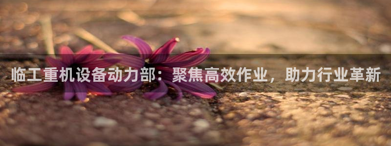 清远顺盈娱乐怎么样啊