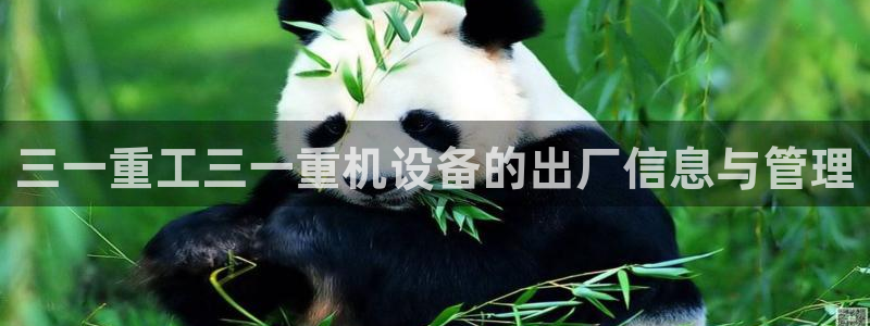 顺盈娱乐西班牙28房：三一重工三一重机设备的出厂信息与管理