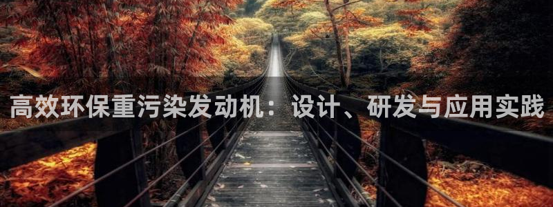 顺盈娱乐在线注册不了：高效环保重污染发动机：设计、研发与应用