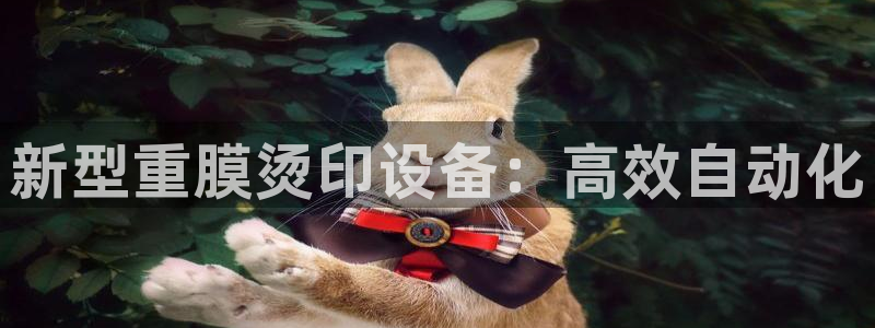 顺盈娱乐棋牌官网